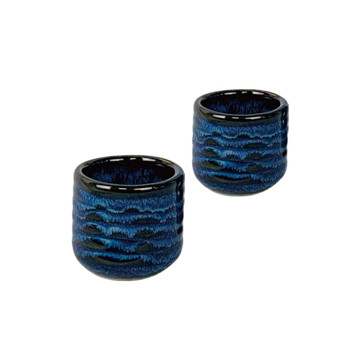 BICCHIERE SAKE