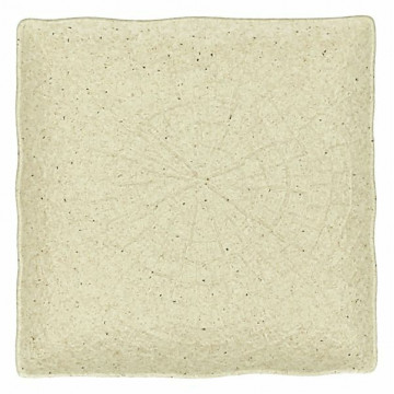 Piatto Quadrato 16 cm –...