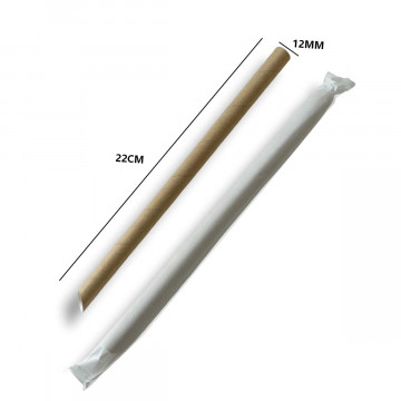 CANNUCCE PER BUBBLE TEA 100PZ