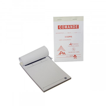 DOCUMENTO DI TRASPORTO 3 COPIE