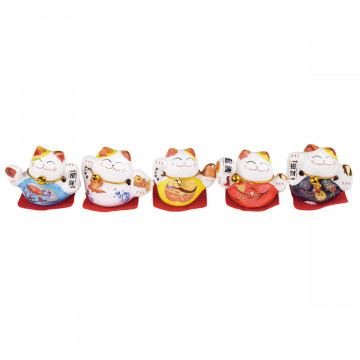 GATTO FORTUNATO 5PZ