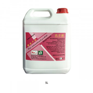 DETERGENTE LAVAMANI 5LT 4PZ/CT