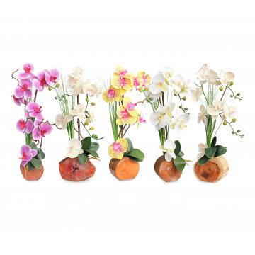 ORCHIDEA IN LEGNO
