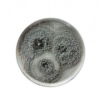 PIATTO EDGE 23CM ATTITUDE...