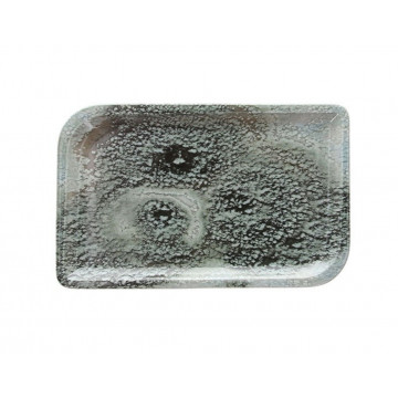 PIATTO RETTANGOLARE 24X15CM...