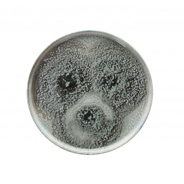 PIATTO EDGE 27CM ATTITUDE...